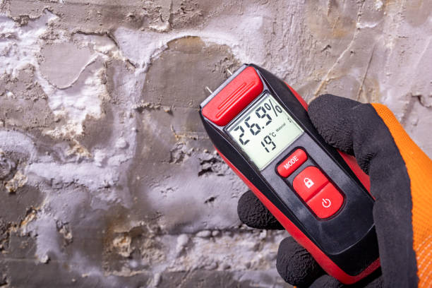 Best Mold Testing and Inspection Services in Culver, OR