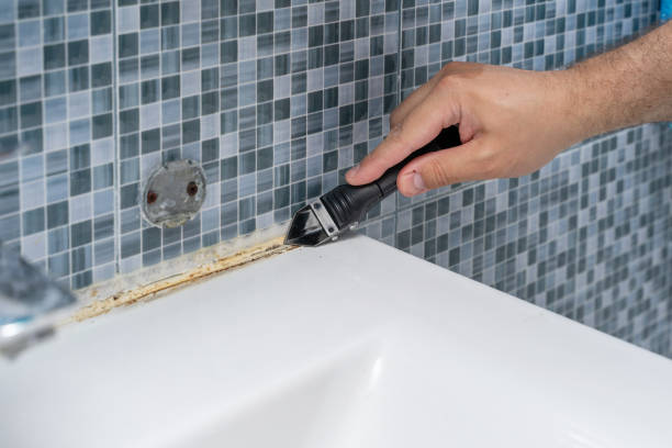 Best Mold Remediation for Schools in Culver, OR